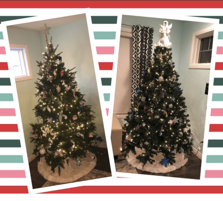 Are you team real tree or team fake tree? CochraneNow Cochrane